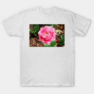 Double Late Tulip T-Shirt